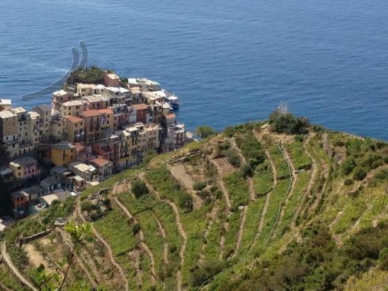 Appartamento Vacanze "Borgo Cinque Terre" Volastra Manarola Bagian luar foto